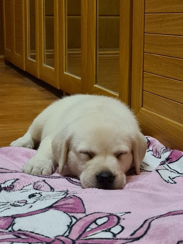 Старею похоже...