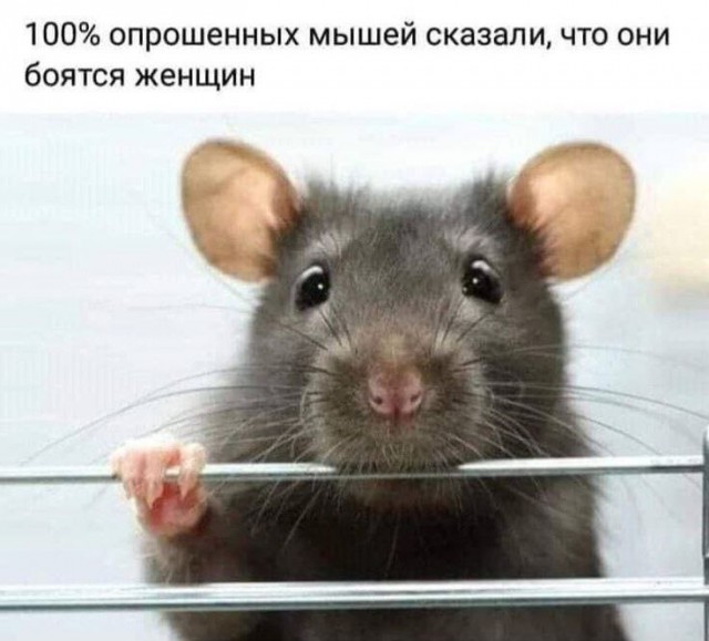 Среда обитания 0.2
