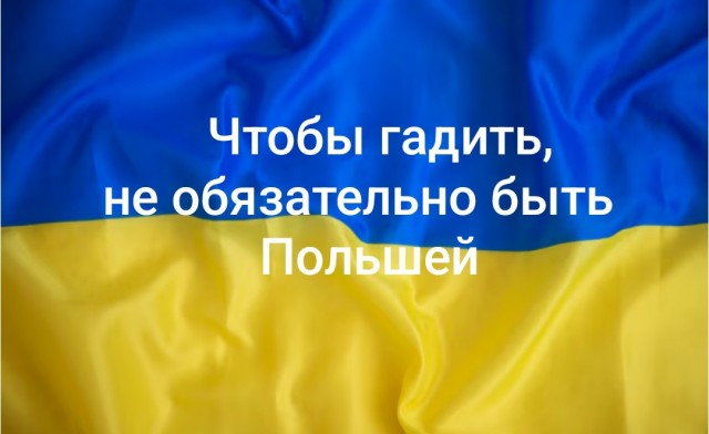 Президент и премьер Польши публично обменялись оскорблениями
