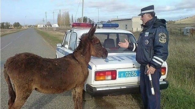 Главное вовремя признать свою ошибку!