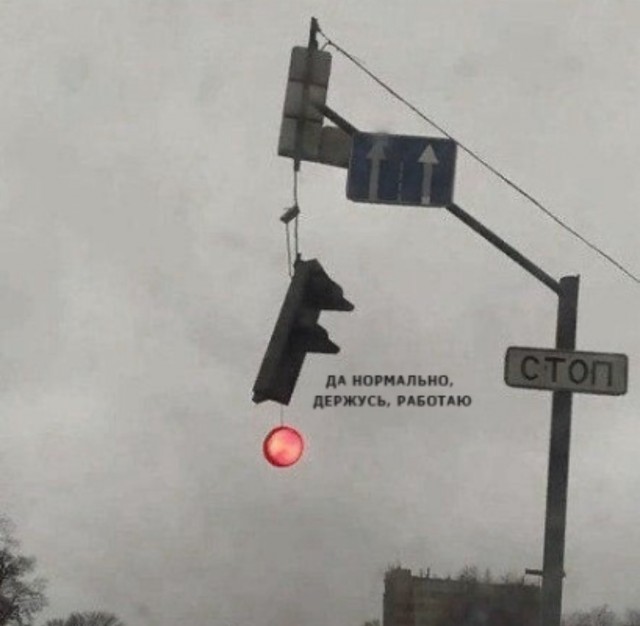 Пятничные картинки