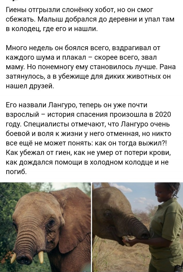 Нуштош. Осознание пути в никуда (s5e4)