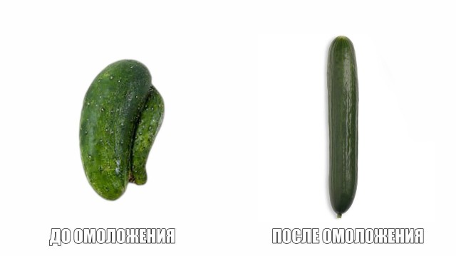 Процедура омоложения пениса  набирает популярность в России