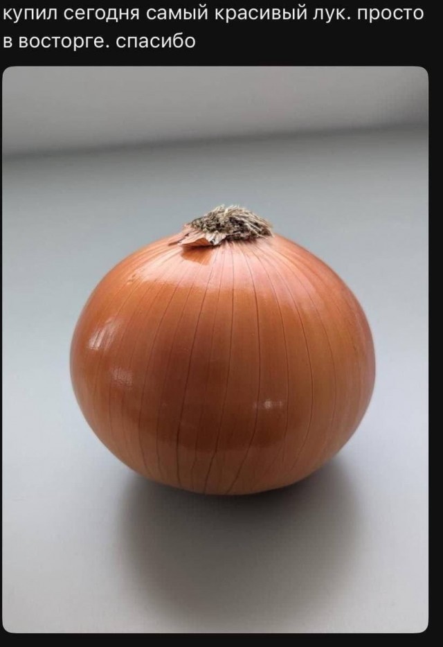 Субботние картинки