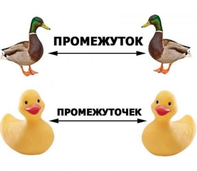 Сударыня Тударыня