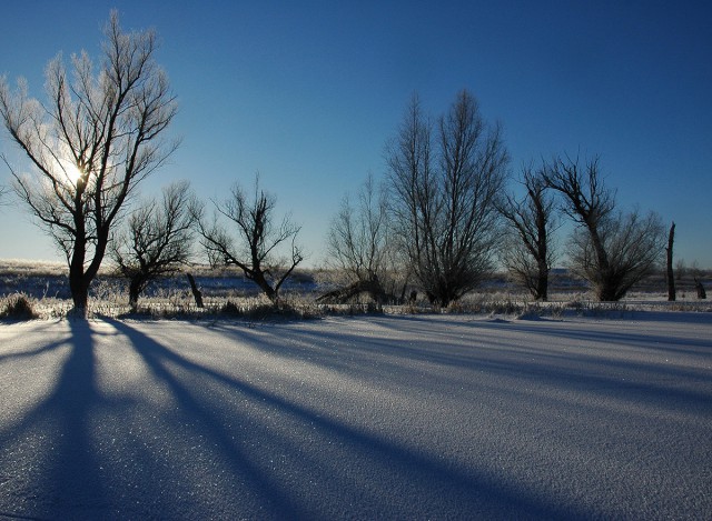 Деревенская Америка