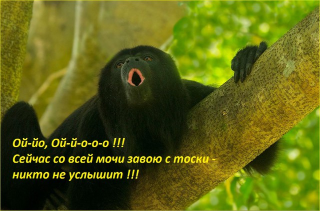 Немного позитива