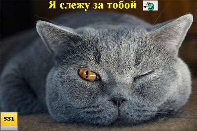 Просто фотографии из прошлого
