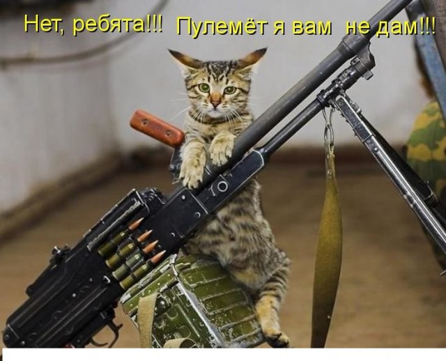 Военные США хотят аналоги российского оружия