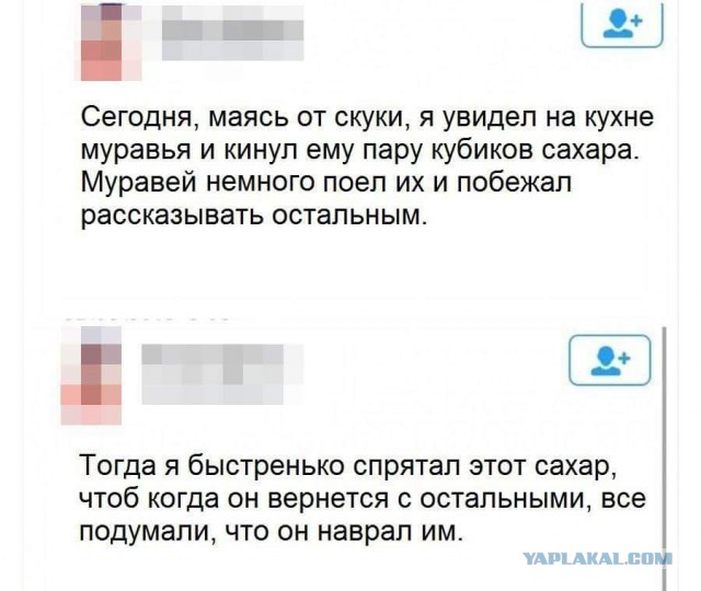 Ужасы и приколы из соцсетей 18+