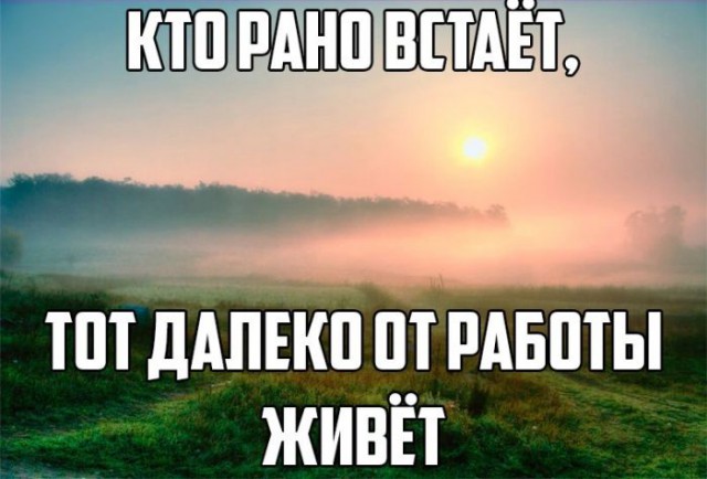 Подборка интересных и веселых картинок