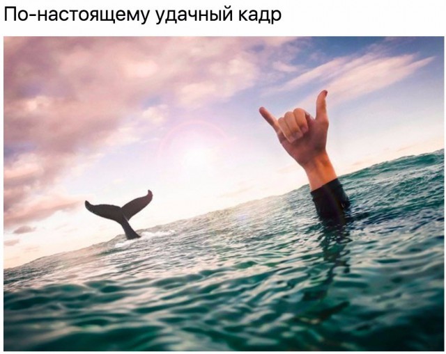 Набористый набор картинок
