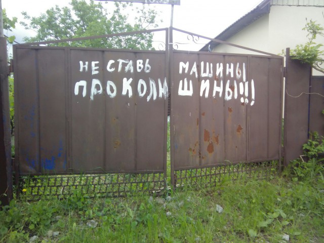 Подборка безудержного веселья