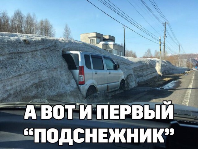 Прикольные картинки абавсём