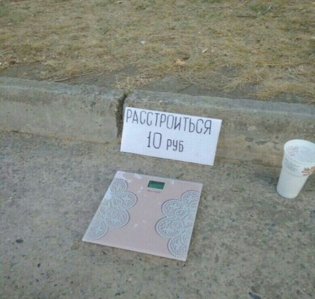 Прикольные надписи и объявления