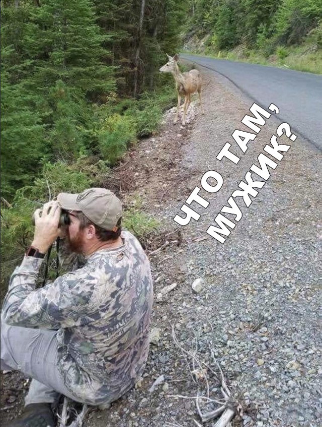 Нестандартный юмор