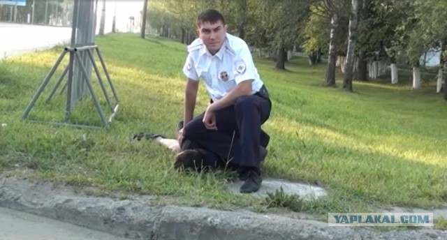 Ауе против ДПС