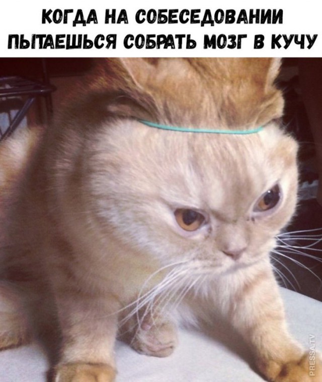 Немного картинок для настроения