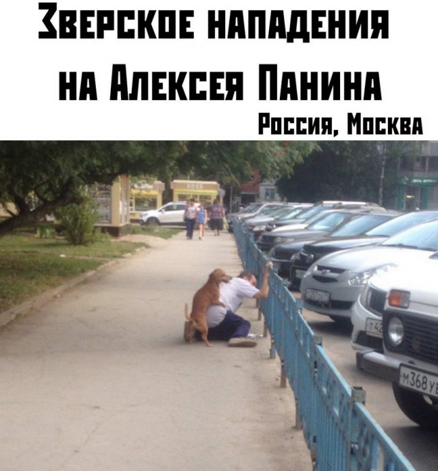 Картинки-позитивки