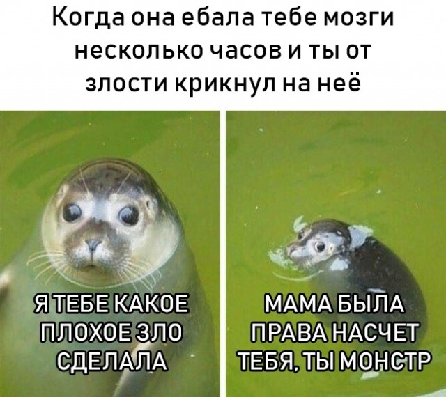 Подборка интересных и веселых картинок 28.07.19