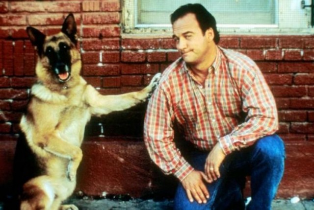 Джерри Ли и K-9