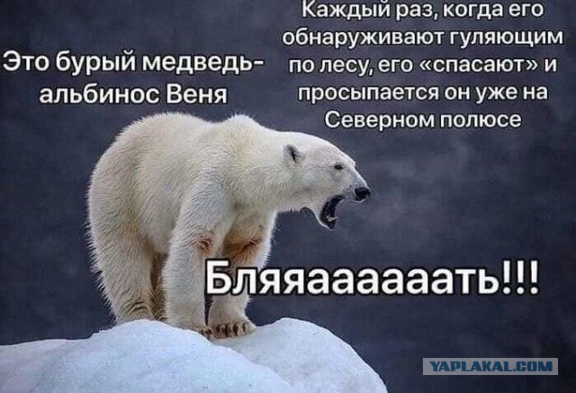 Неприятный гость