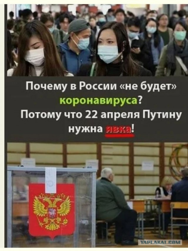 Вот как надо бороться с вирусом