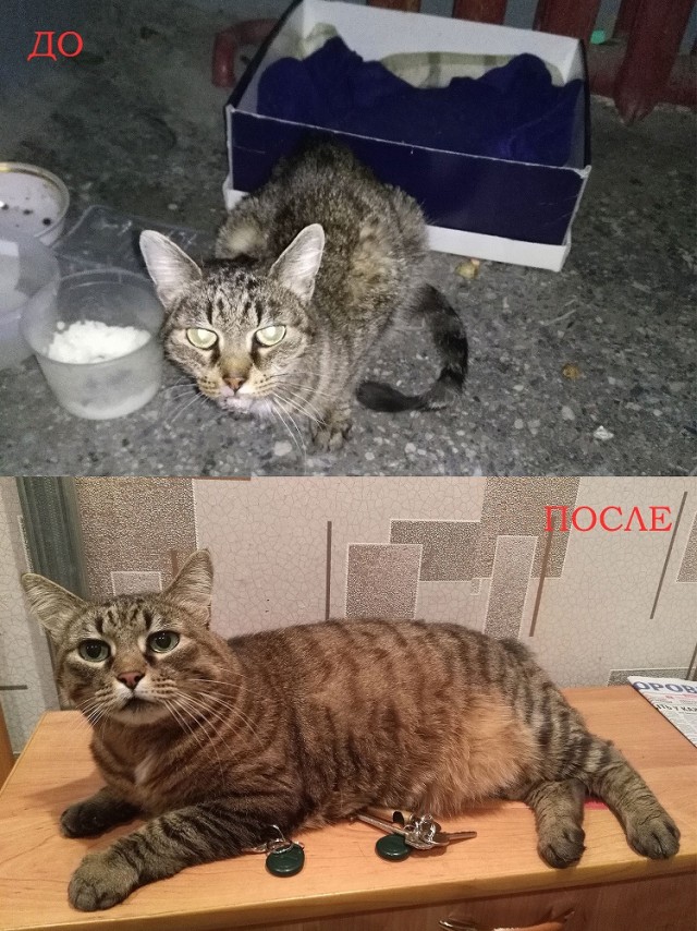 Было - стало