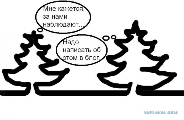 ёлки идем резать?