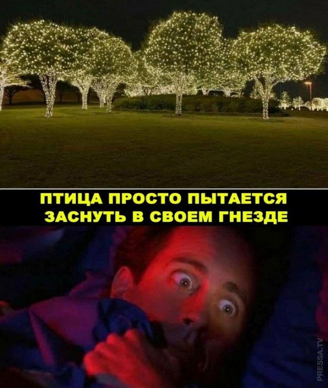 Картинки и мемы для настроения 010