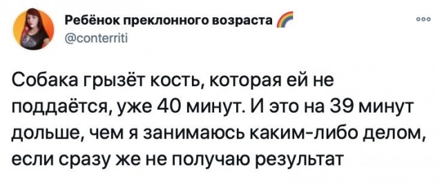 Картинки и мемы для настроения 015
