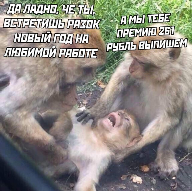 Картинки и мемы для настроения 028