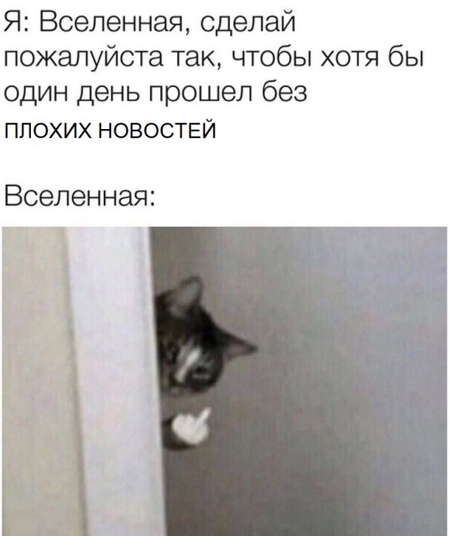 Картинки с надписями и всякие жизненные фразы 4.01.21