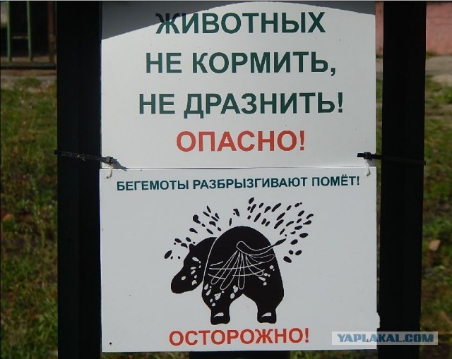 В Госдуме обсудили финансовую поддержку «Ахмата» после санкций от США. Комитет по спорту обратится в Правительство РФ