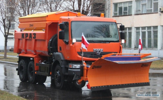 Вежливые все!