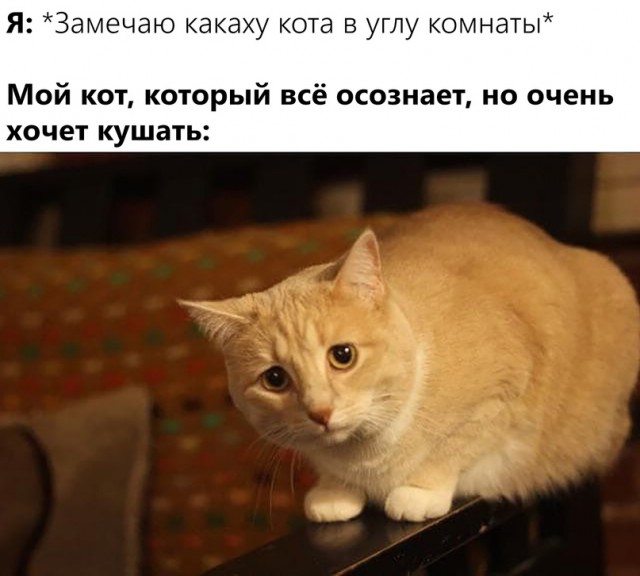 Картинки и мемы для настроения 12.07.2021