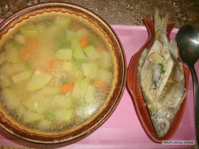 Вся правда о КАБАЧКАХ и ЦУККИНИ