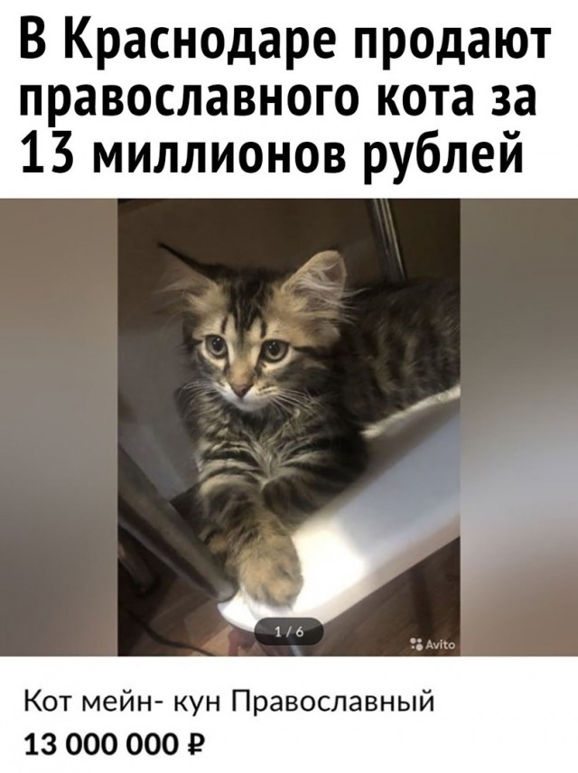 Так себе картинки 02.09.21