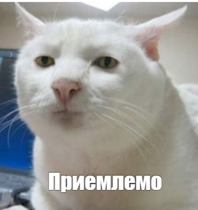 Всегда в запасе должен быть другой план