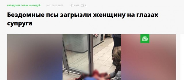 Власти Забайкалья предложили изменить закон, после смерти ребенка от бездомных собак