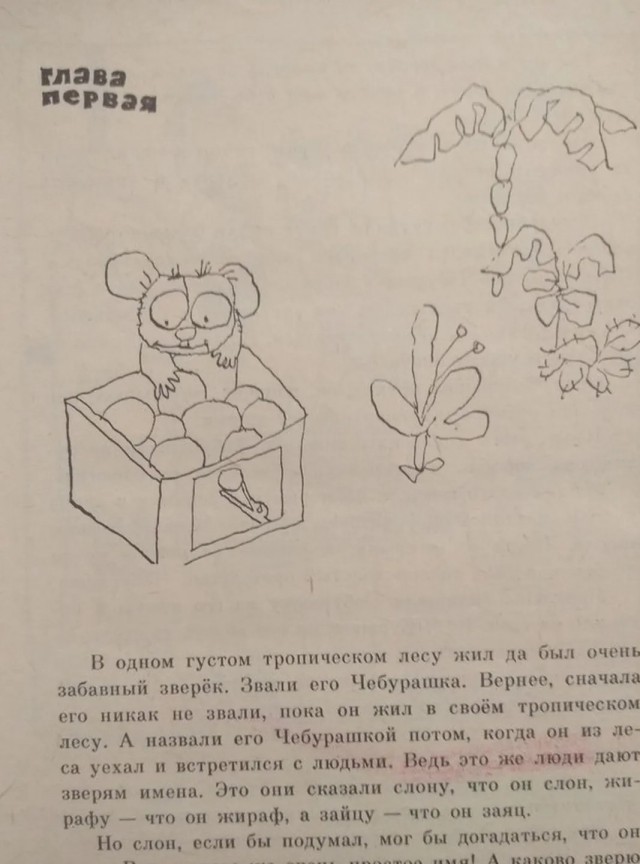 Откуда родом Чебурашка? Вычисляем страну!