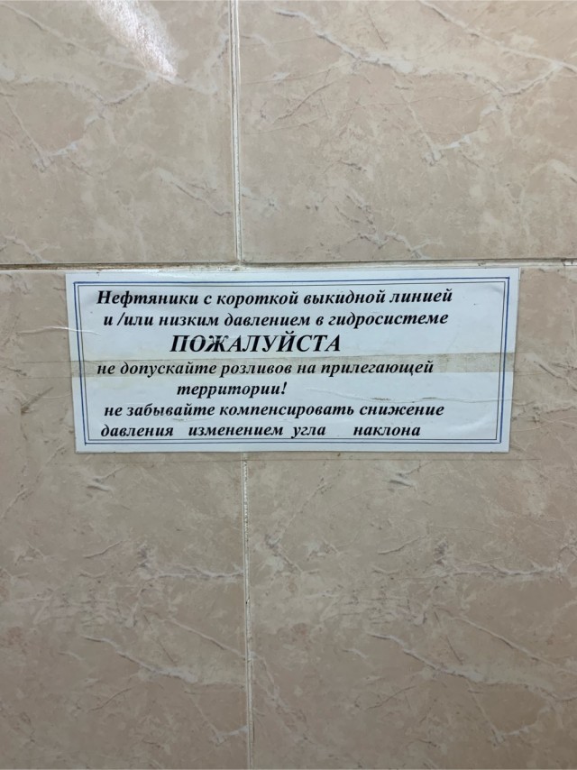 Настенная жизнь обычного завода