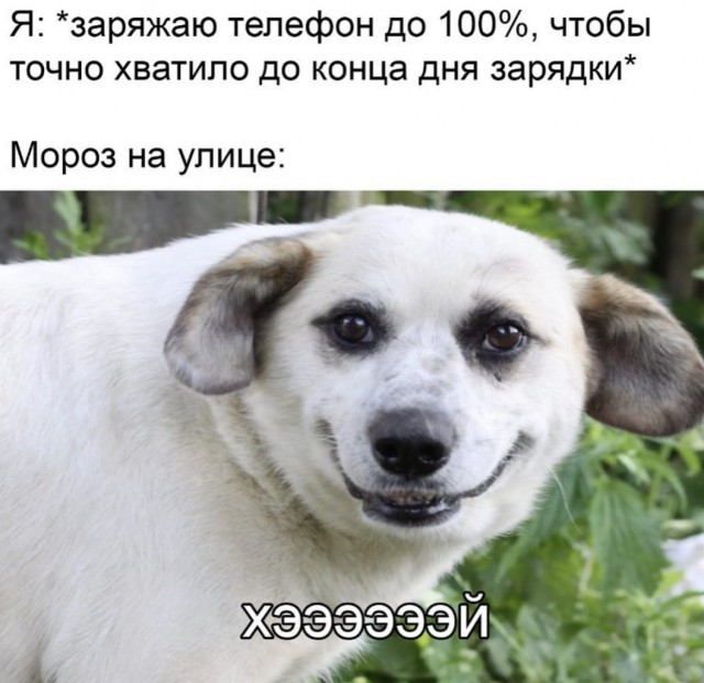 Баянисто-небаянистый юмор 12.04.22