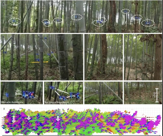 Китайские учёные создали рой дронов, способных автономно летать по густому лесу и общаться друг с другом