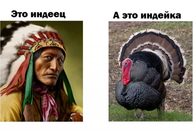 РХЧП по-индуски