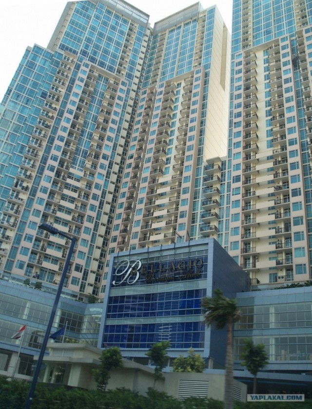 Они живут только 40 лет