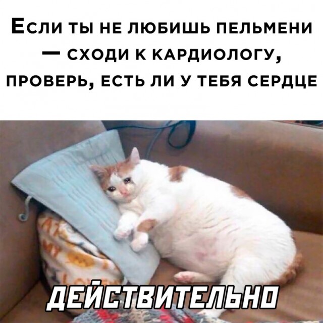 Картинки и мемы для настроения - 009