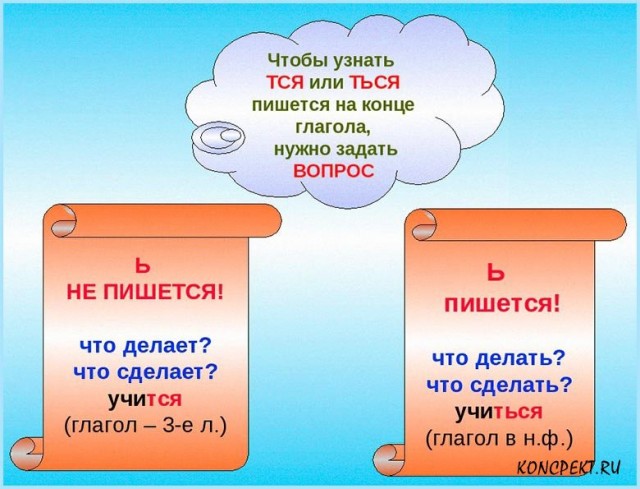 Котенок манула учиться греть лапки
