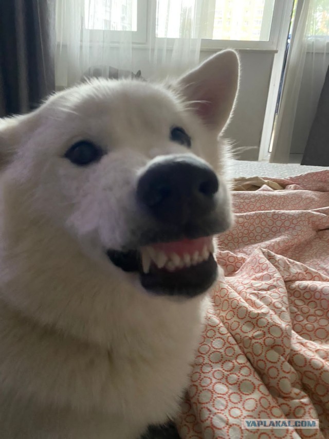 Нам уже 3 месяца