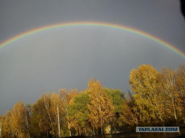 Поделимся красивыми фото с телефона?
